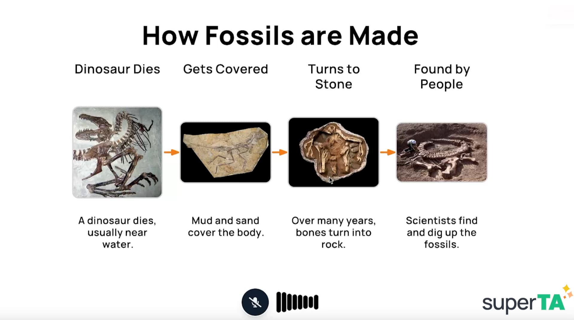AI Tutor Illustration